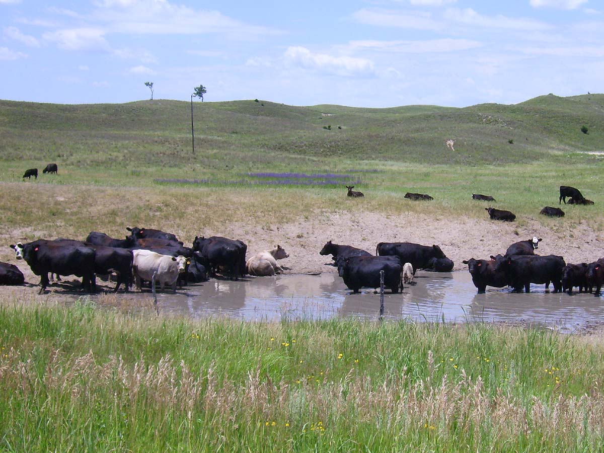 Nebraska Lander Sehenswurdigkeiten Goruma Thayer county is a county in the u.s. nebraska lander sehenswurdigkeiten